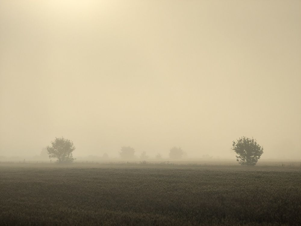 Photograph by Никита Львов