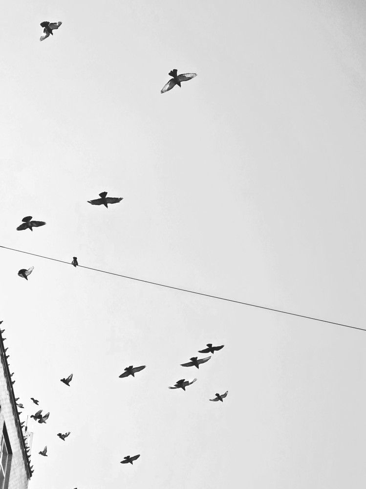 Photograph by Мария