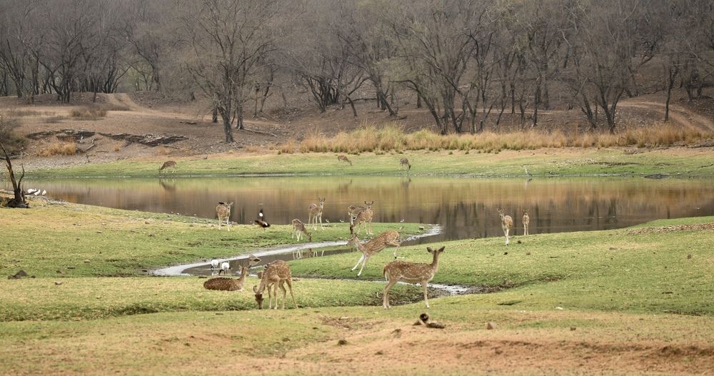 Фотография автора Gaurav Khosla