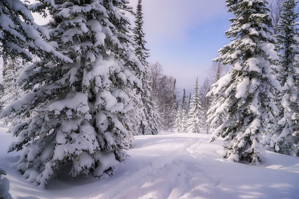 Photograph by Татьяна Добровольская