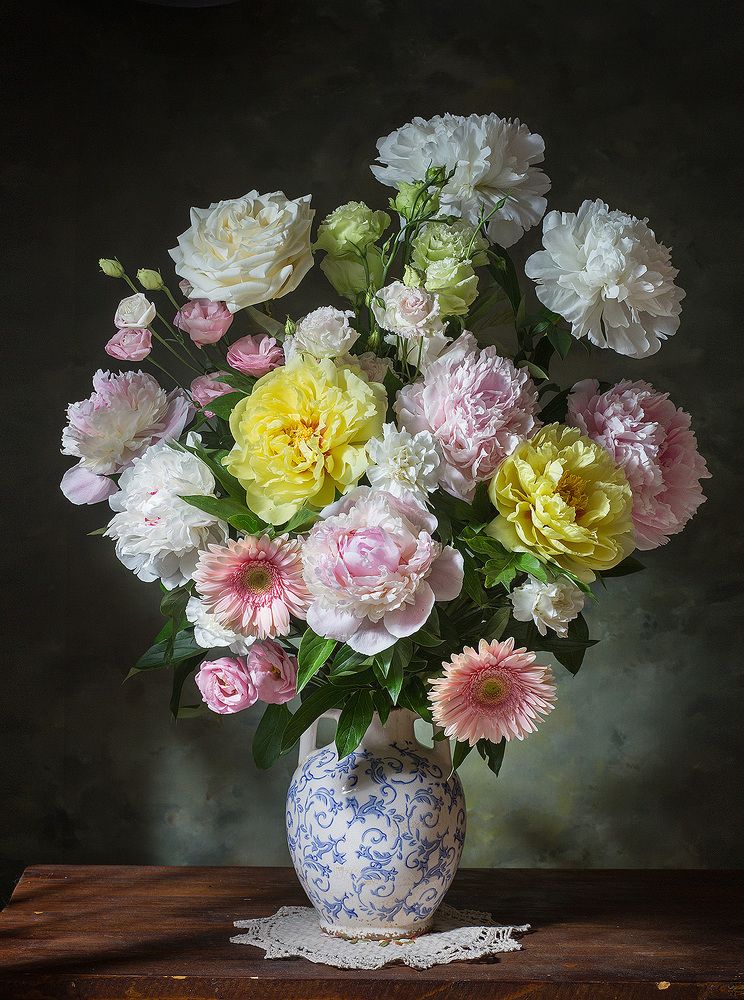 Фотография автора Алина Ланкина