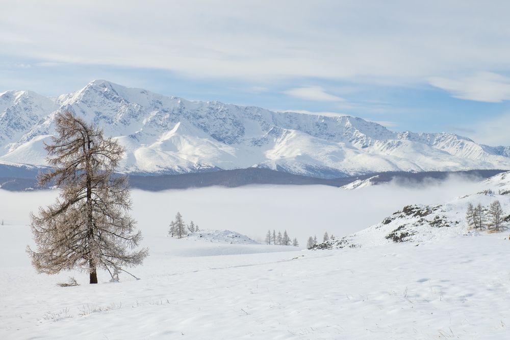 Photograph by Сергей Шерстнев