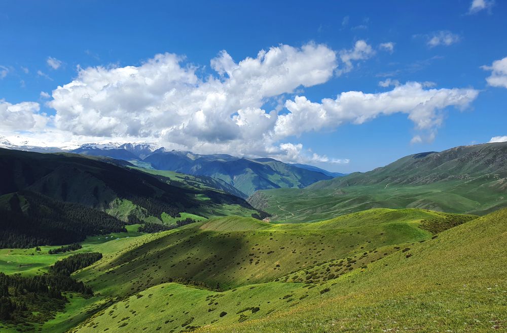 Photograph by Лия Яковлева