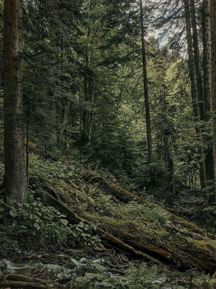 Photograph by Алексей Гуминский