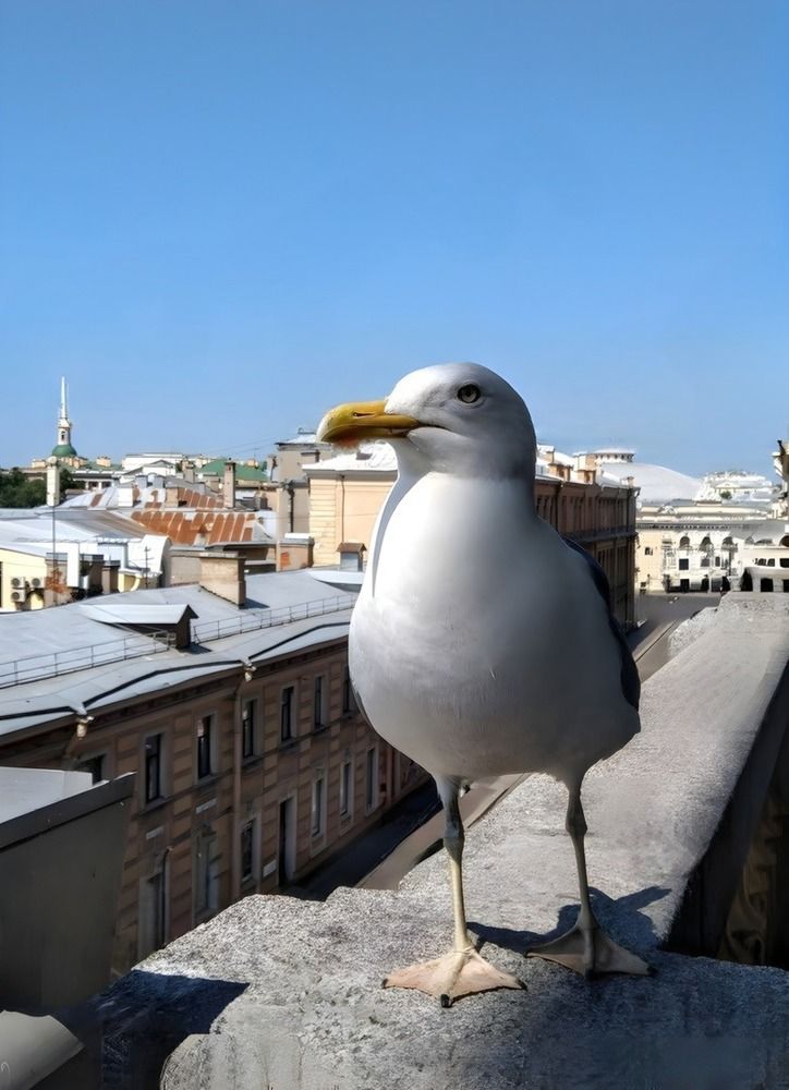 Photograph by Надежда Козлова