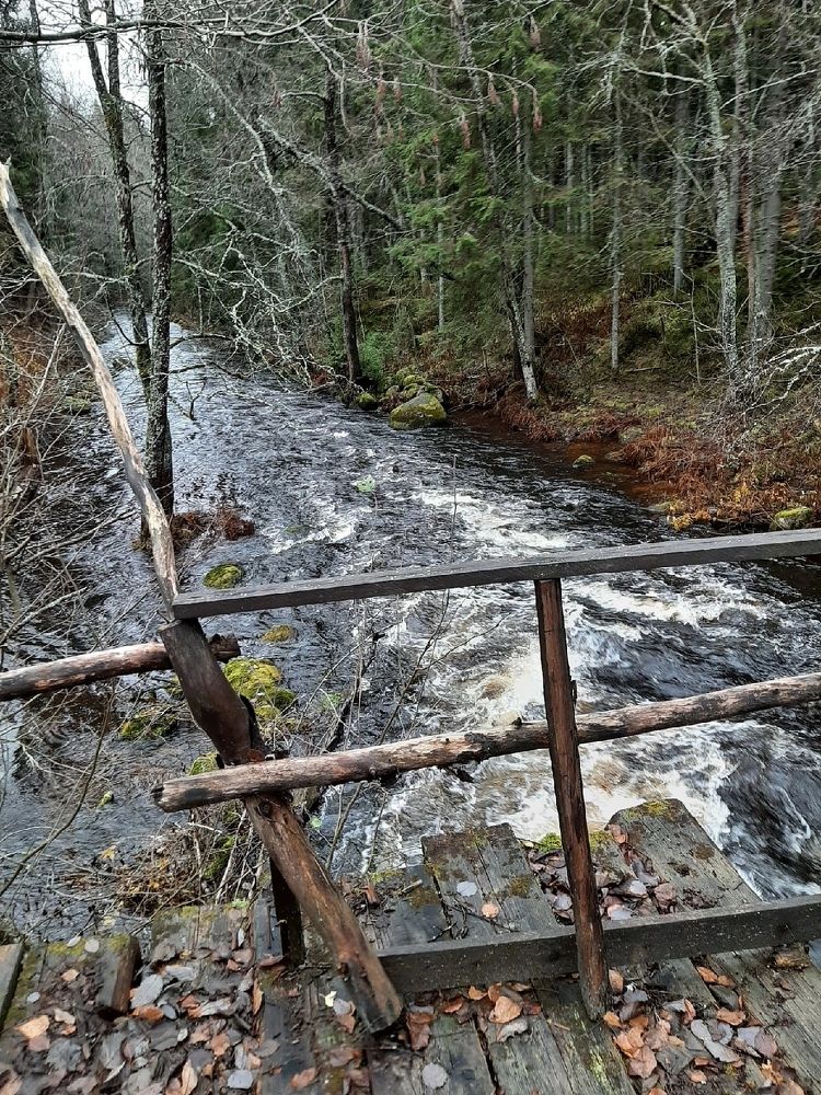 Photograph by Антонина Шабышева