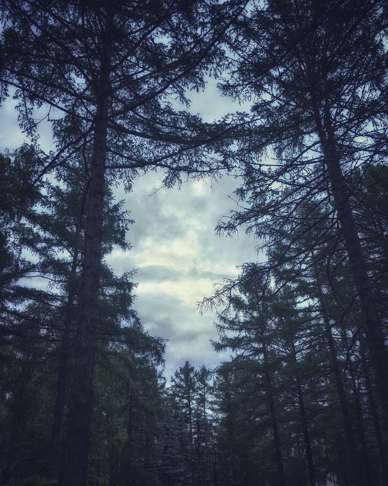 Photograph by Сергей Зайцев