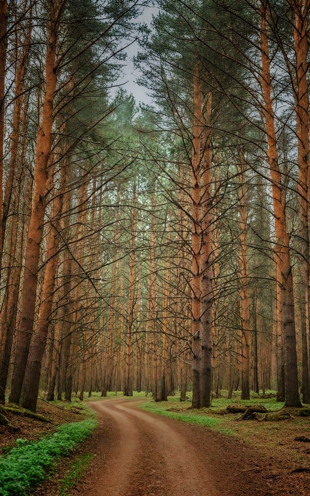 Photograph by Сергей Зайцев