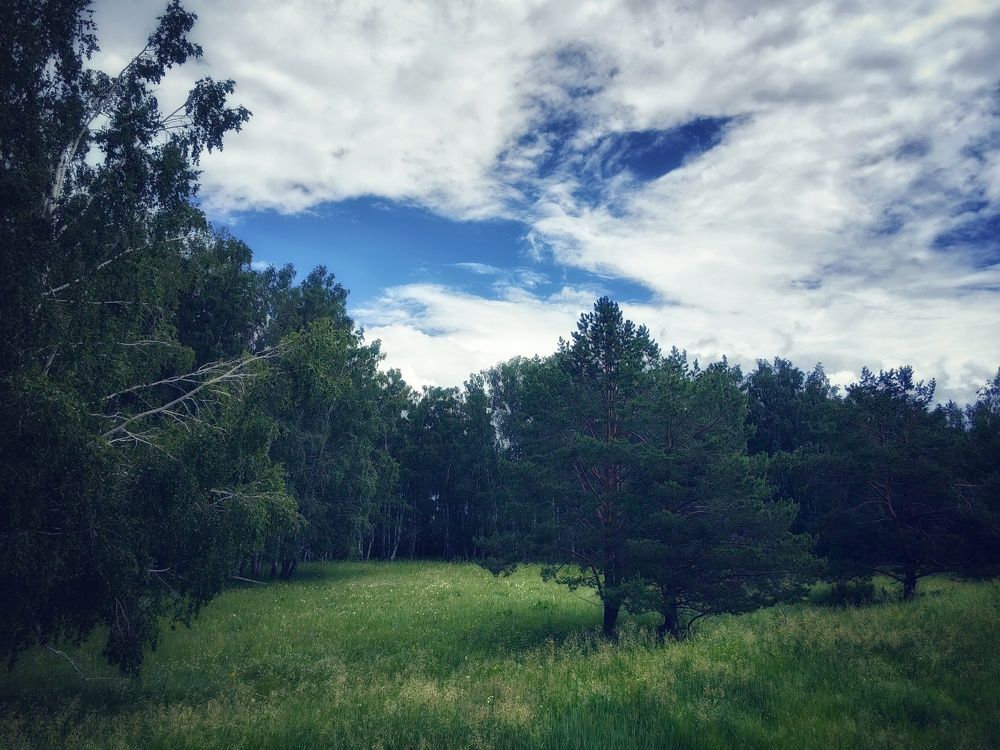 Photograph by Сергей Зайцев