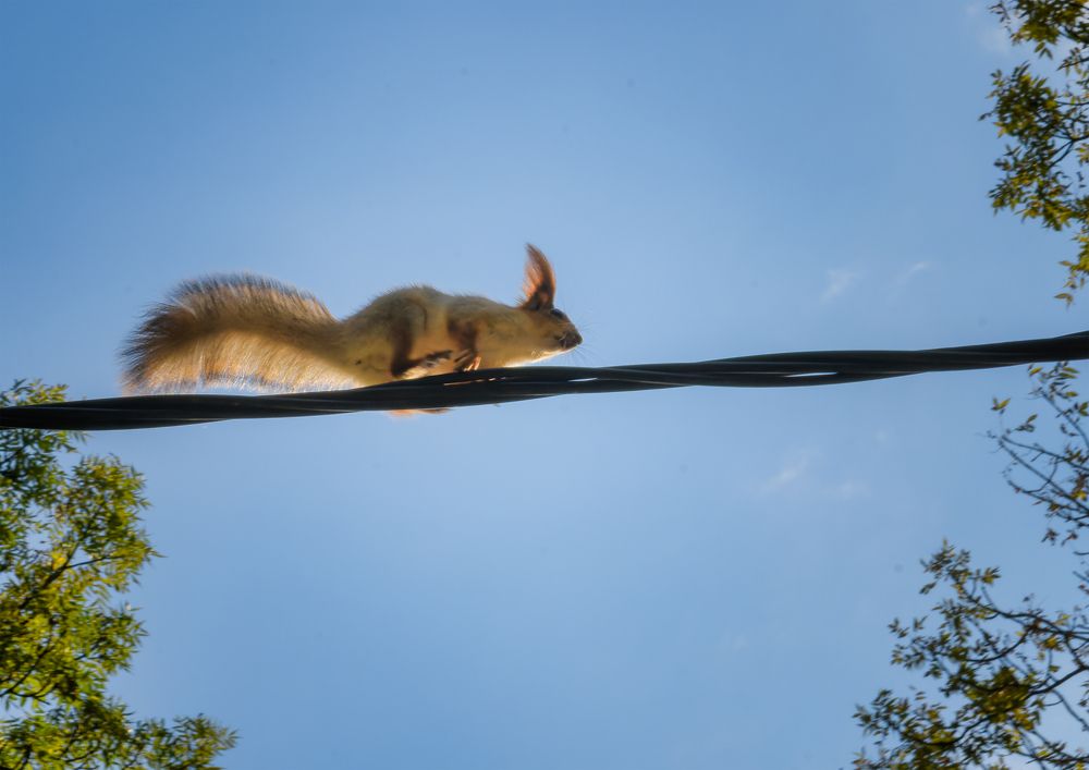 Photograph by Владимир Кваша
