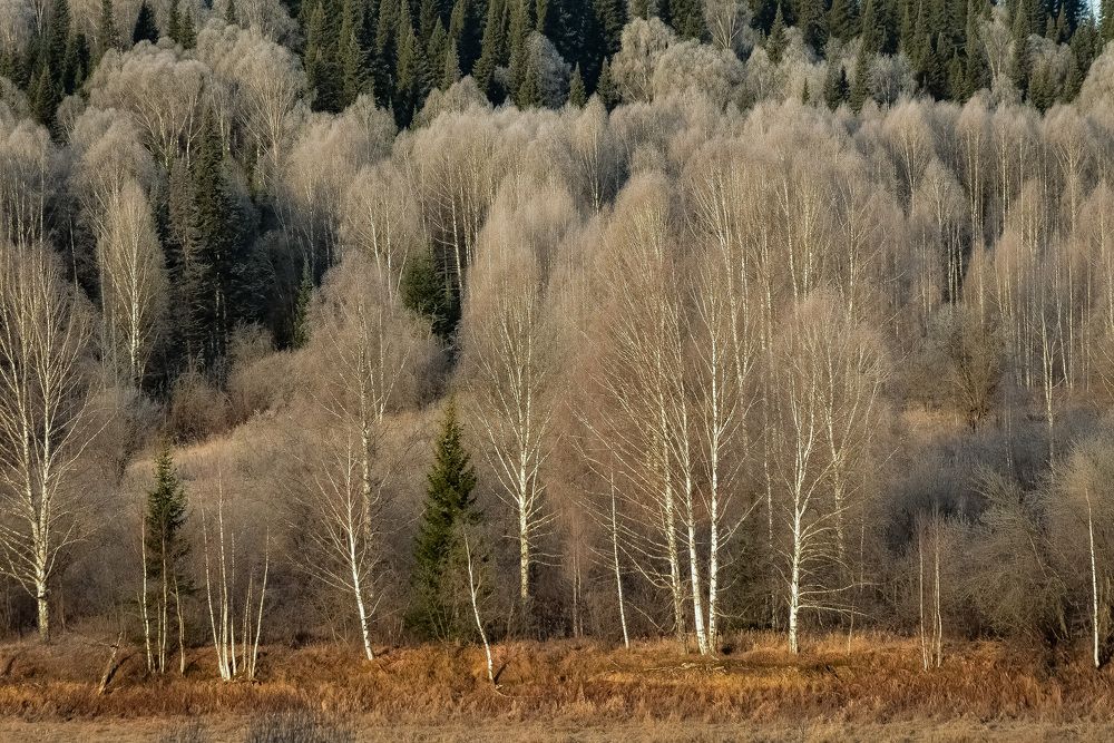 Иней осенью