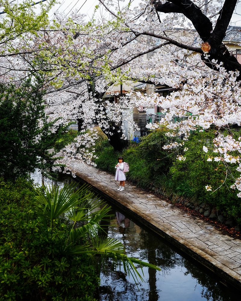 Photograph by Sebastian Tan