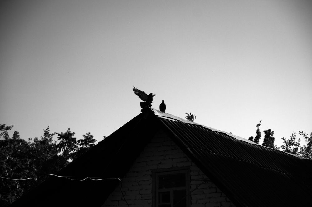 Photograph by Никита Львов