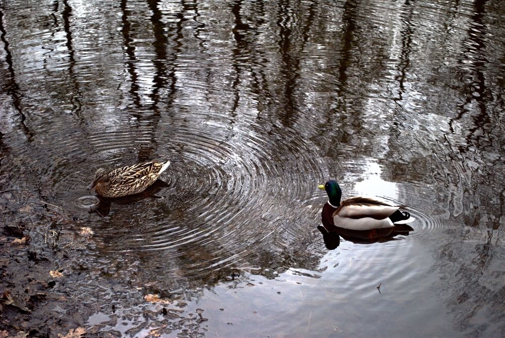 Photograph by Надежда Козлова