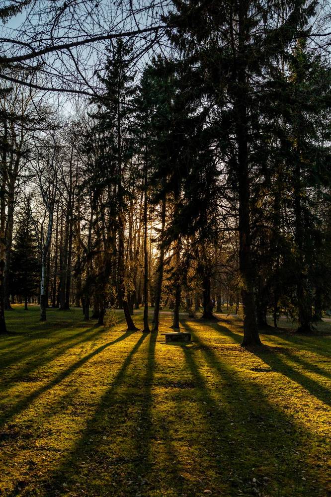 Photograph by Семенов Александр