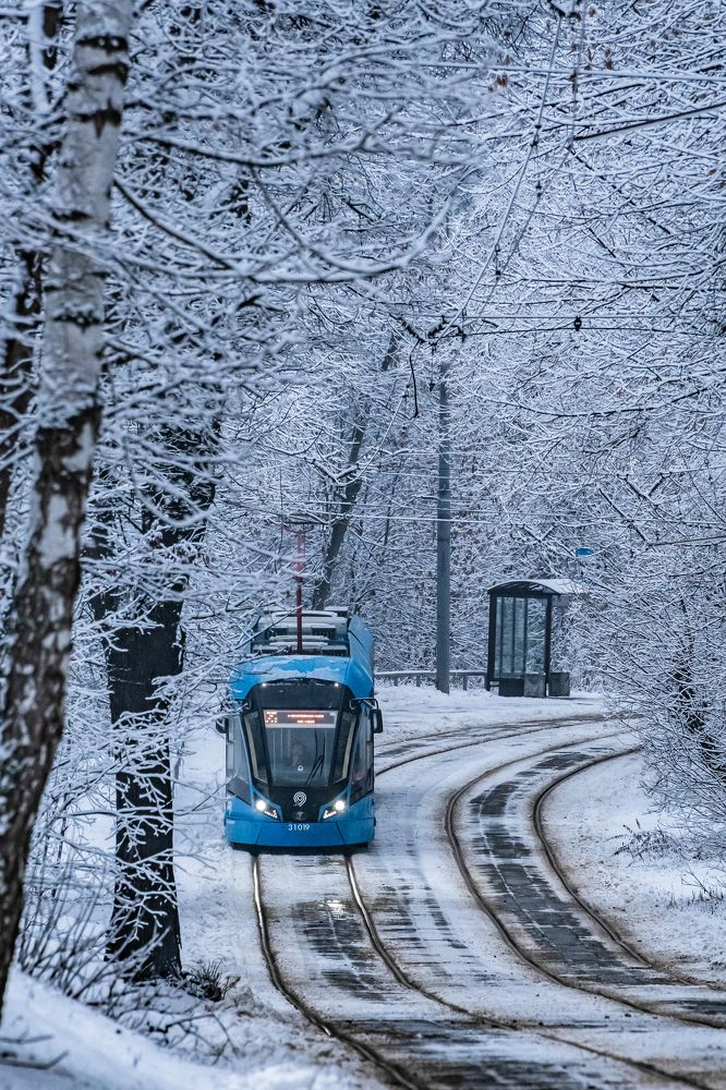 Photograph by Sveta_Poln