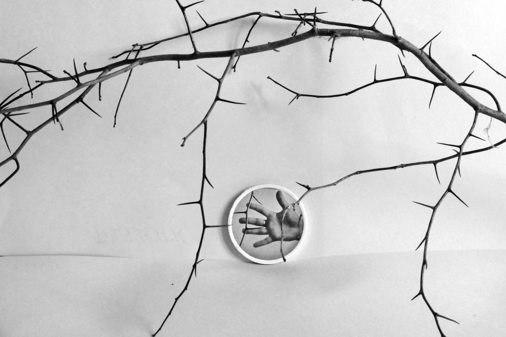 Photograph by Никита Львов