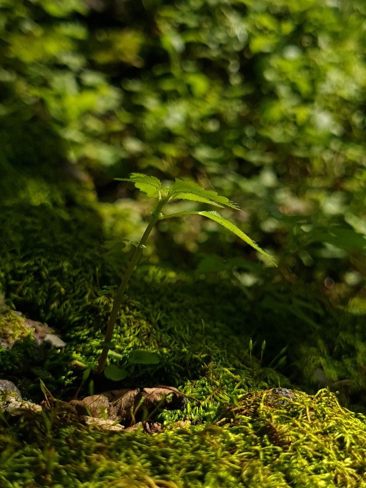 Photograph by Мария