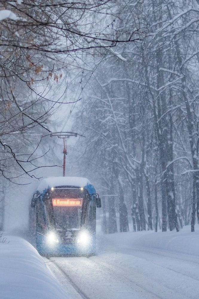 Photograph by Sveta_Poln