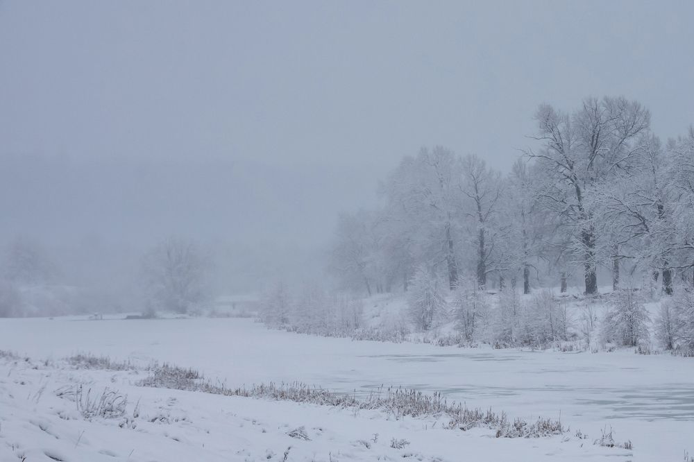 Photograph by Александр Рудаков