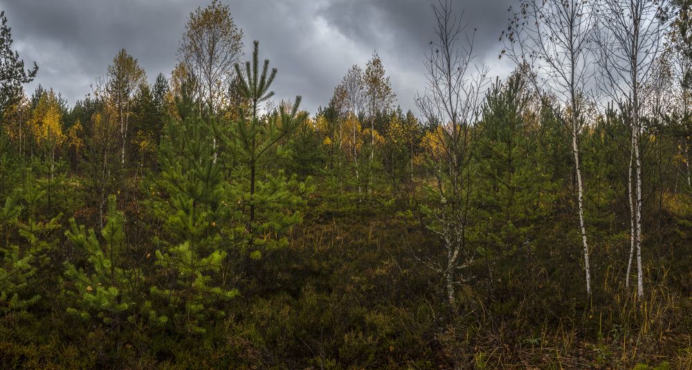 Photograph by Александр Журавлев