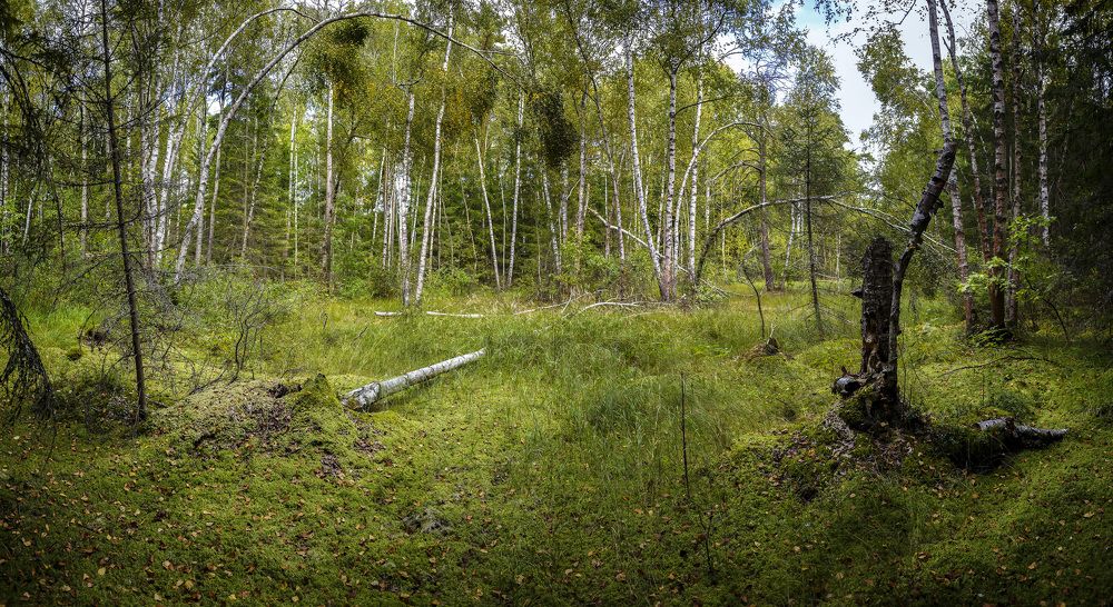 Photograph by Александр Журавлев