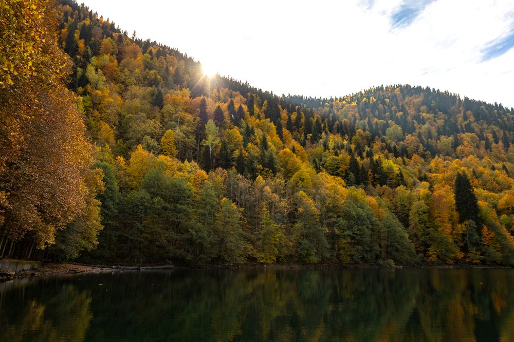 Photograph by София Серёжечкина