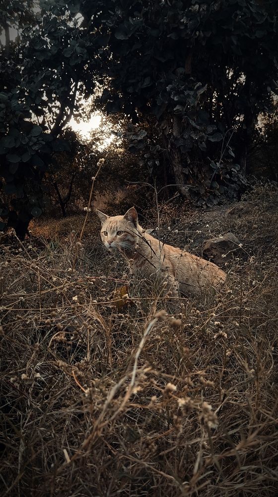 Photograph by Prateek thakur
