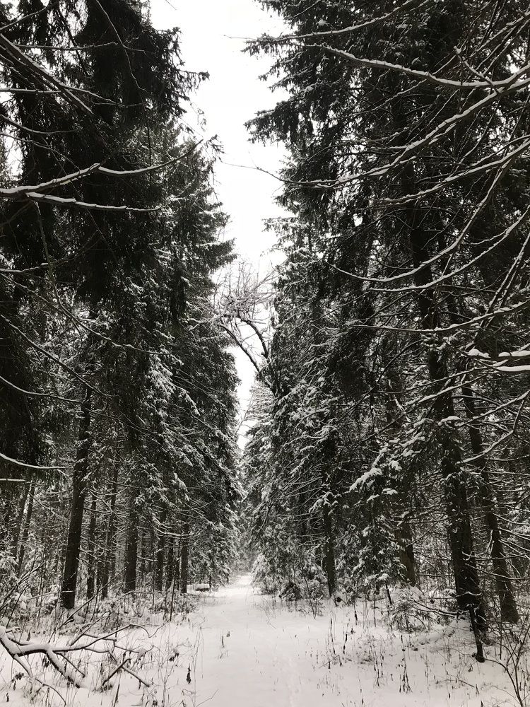 Photograph by Сергей Бойко