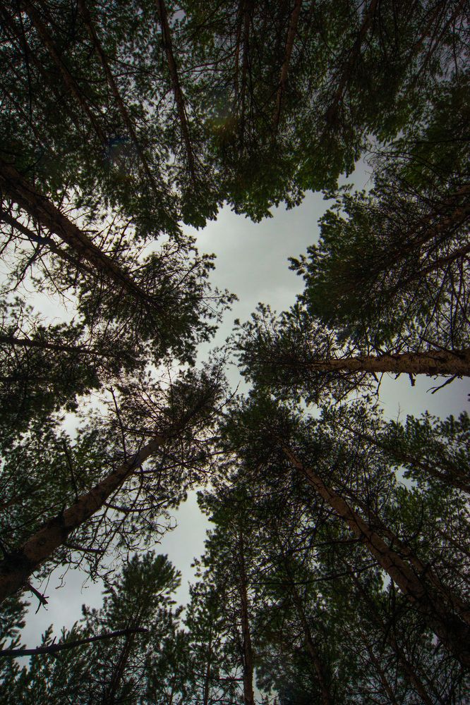 Photograph by Сергей Бойко