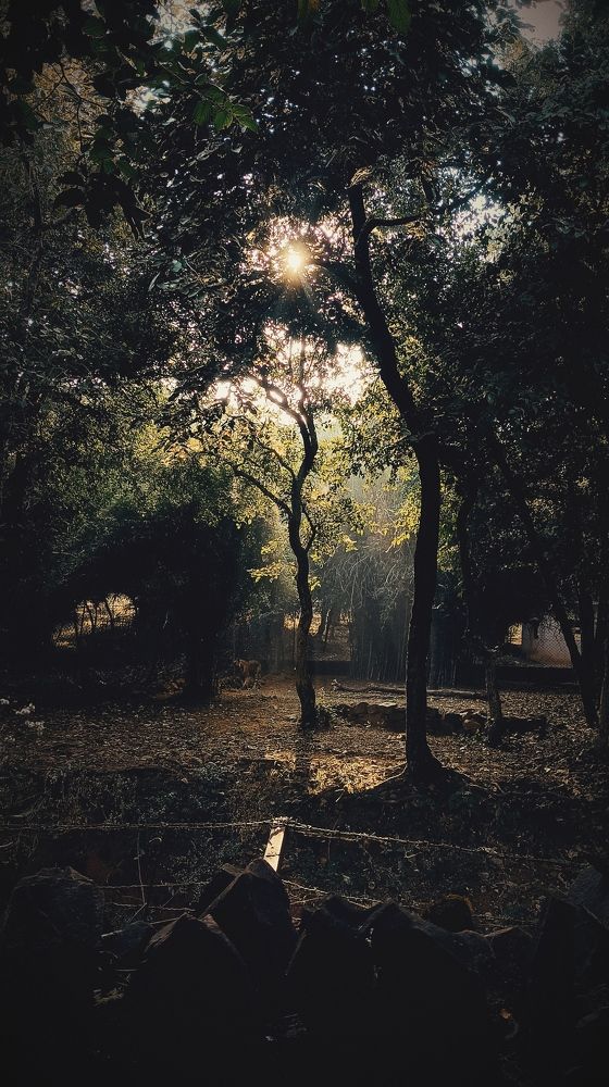 Photograph by Prateek thakur