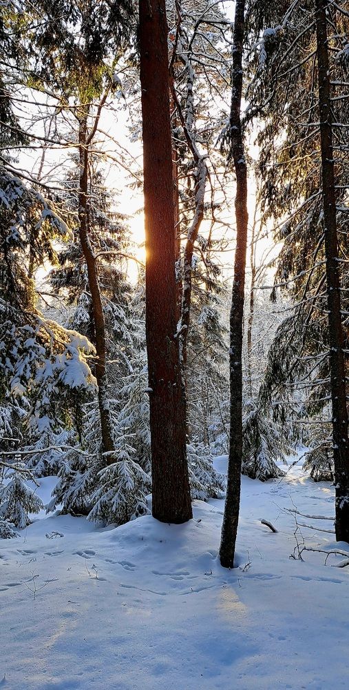 Photograph by Галина Перепечаева