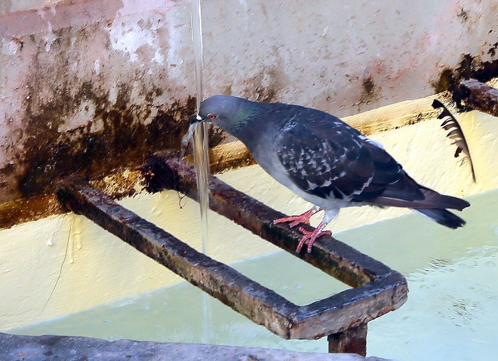 Photograph by Vladislav Kaplun