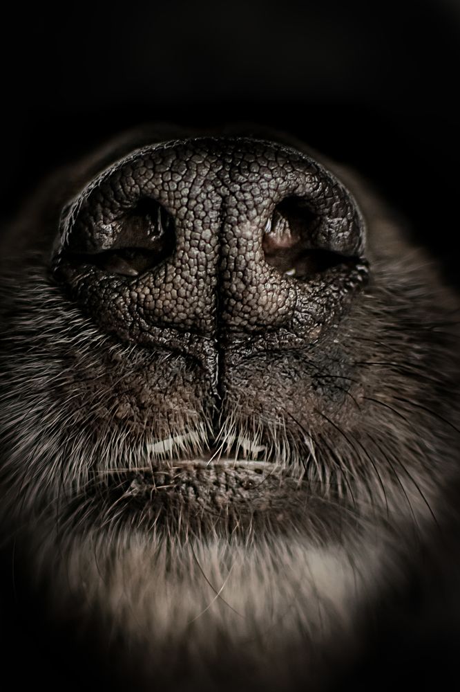 Photograph by Альфия Агзами