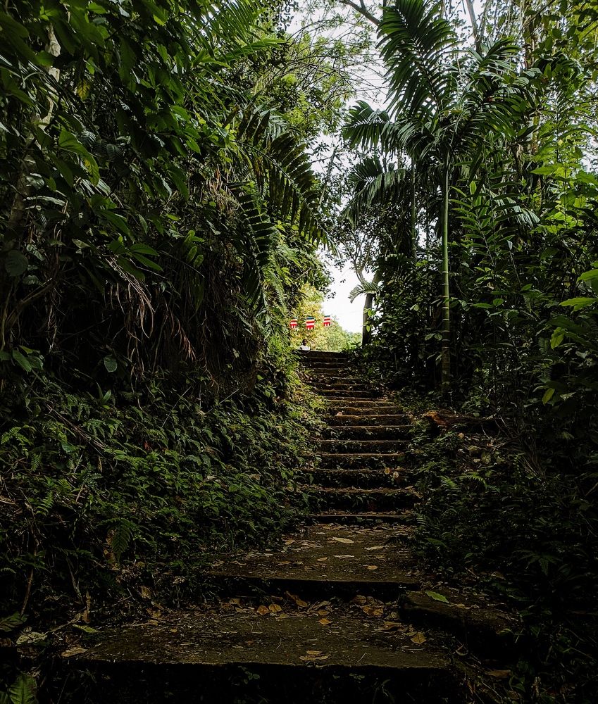 Photograph by Milinda Ashan Rajapaksha