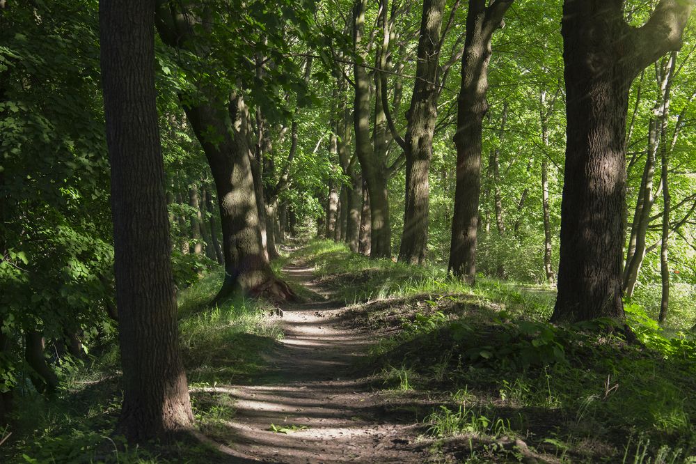 Photograph by Светлана Карнаух