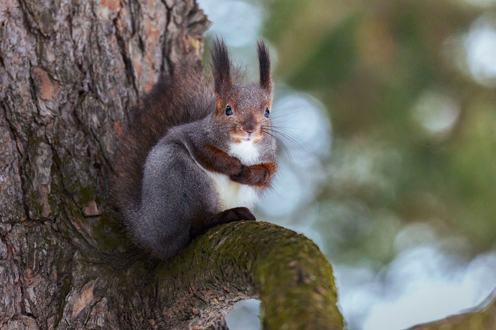 Фотография автора Кожанов Нуржан
