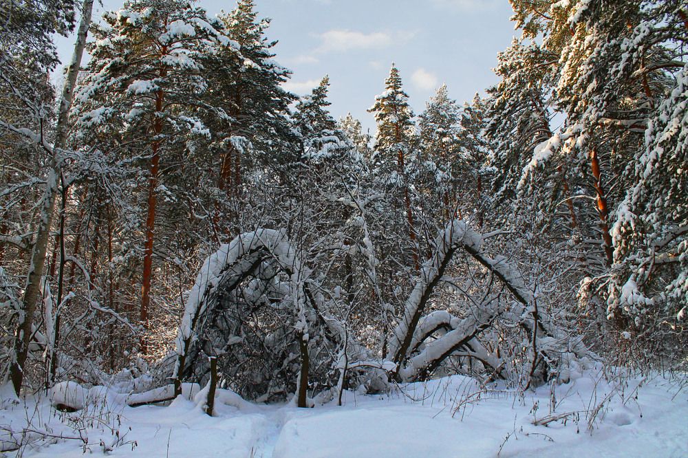 Photograph by Курочкина Диана