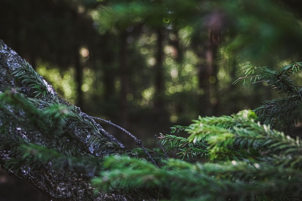 Photograph by Юра Мокрицкий