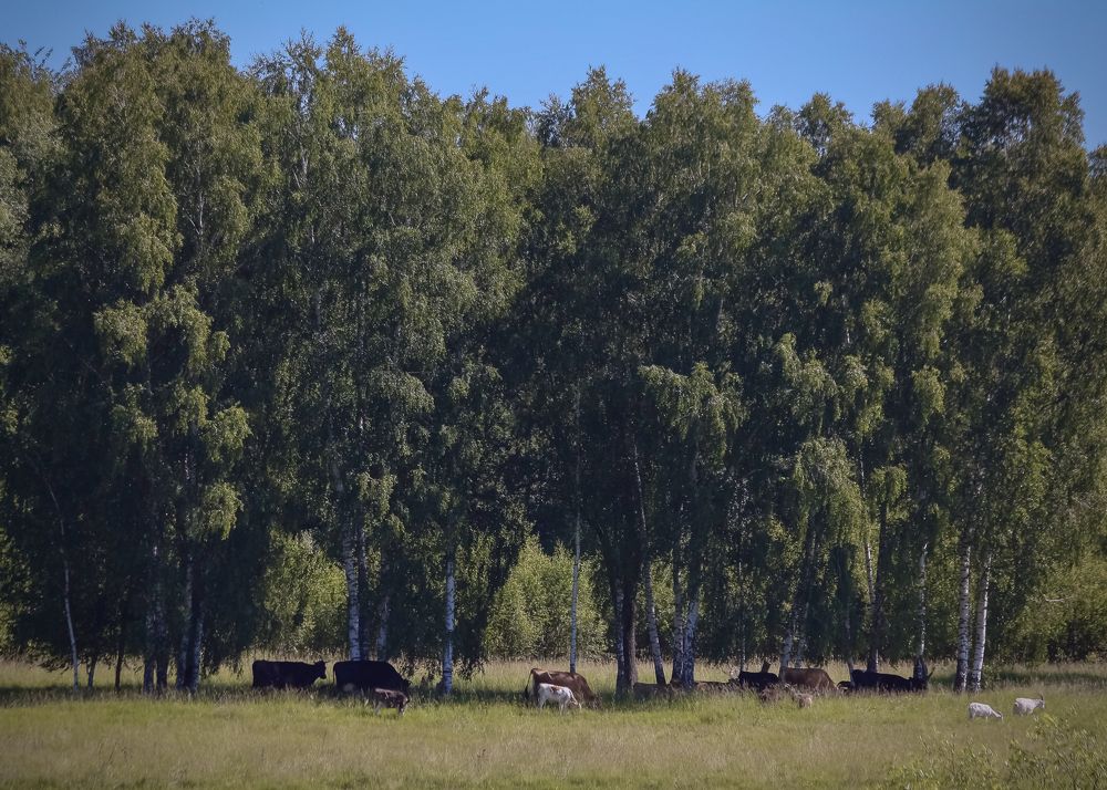 Photograph by Юра Мокрицкий