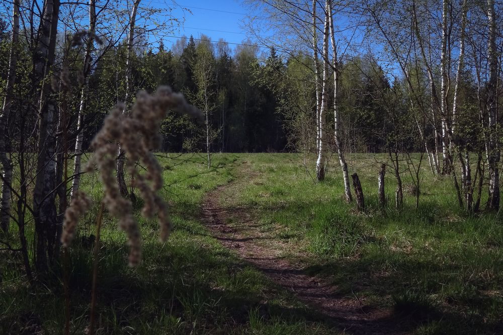 Photograph by Юра Мокрицкий