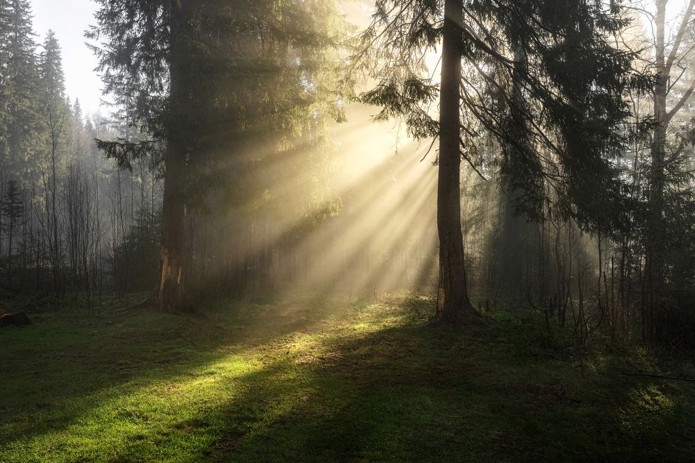 Photograph by Соколова Елена