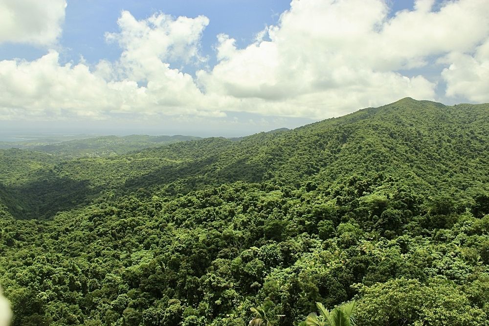 El Yunque National Forest