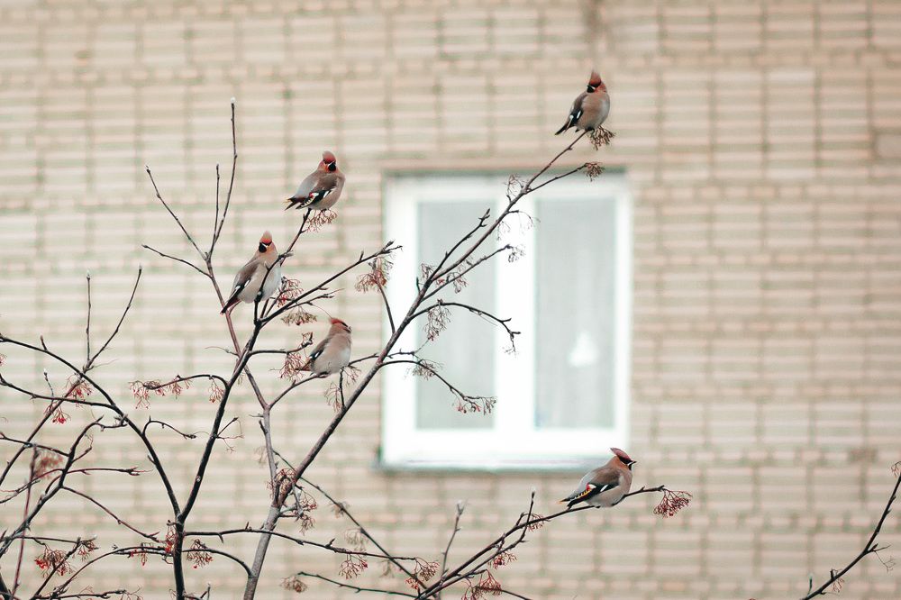 Photograph by Анастасия Макеева