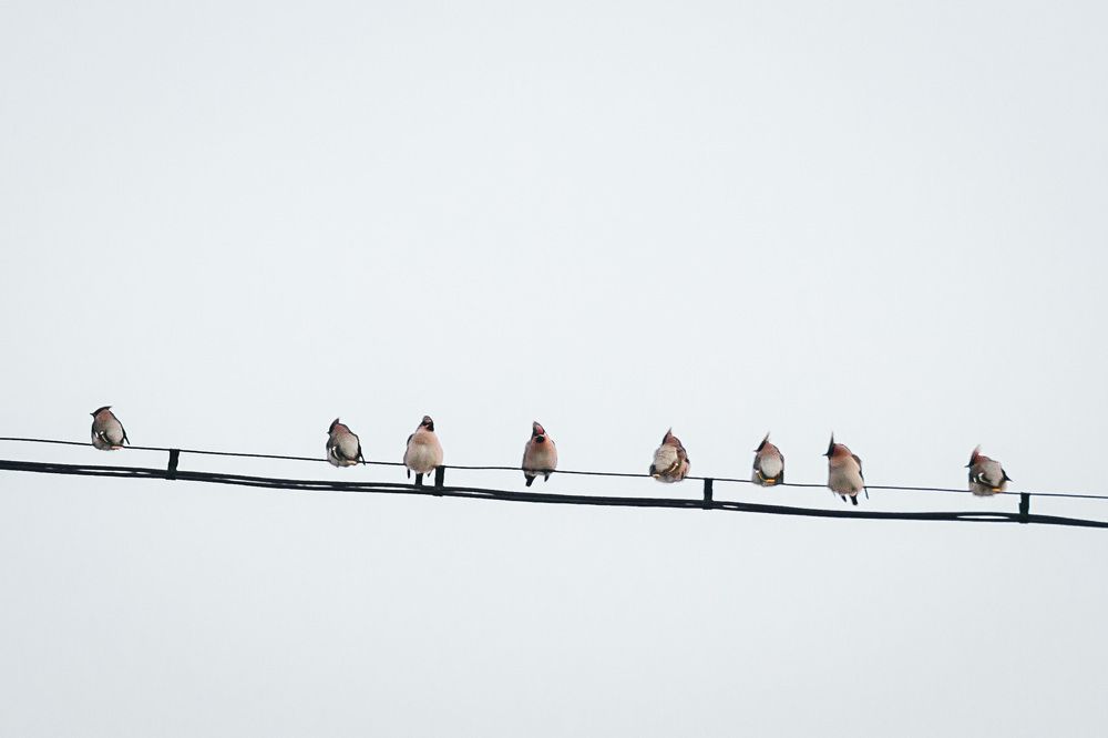 Photograph by Анастасия Макеева