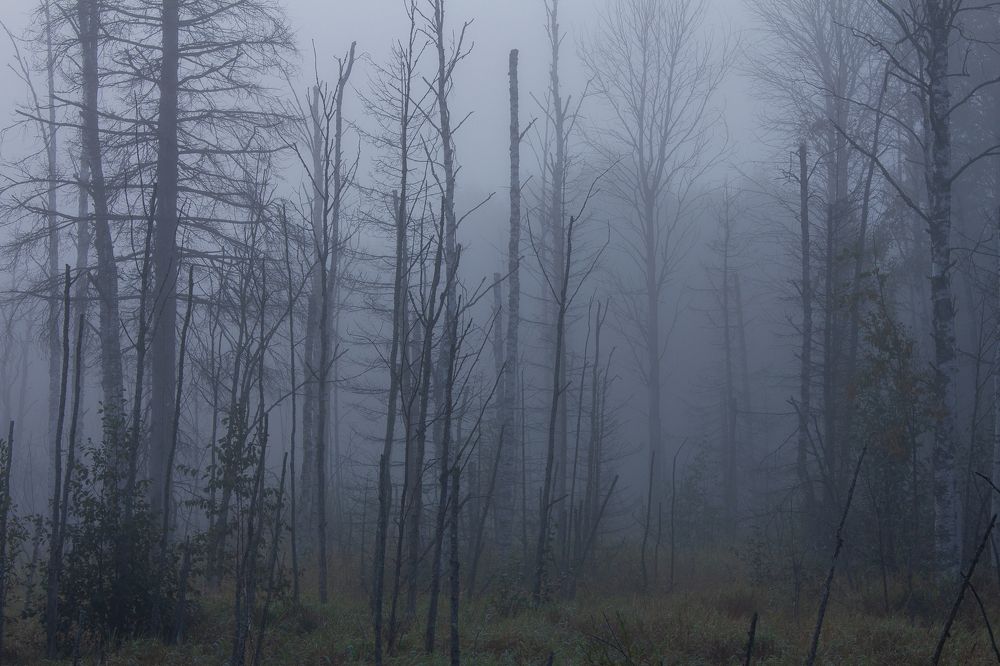 Photograph by Vera Komarova