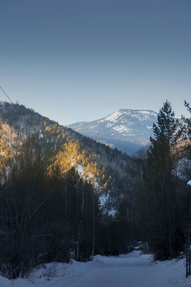 Фотография автора Julia Gorbacheva