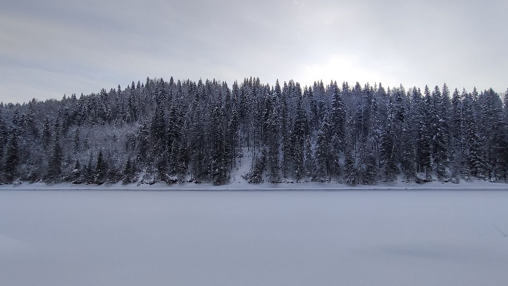 Фотография автора Антон Ульрих