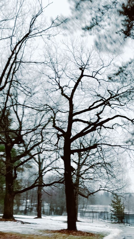 Photograph by Татьяна Санеева