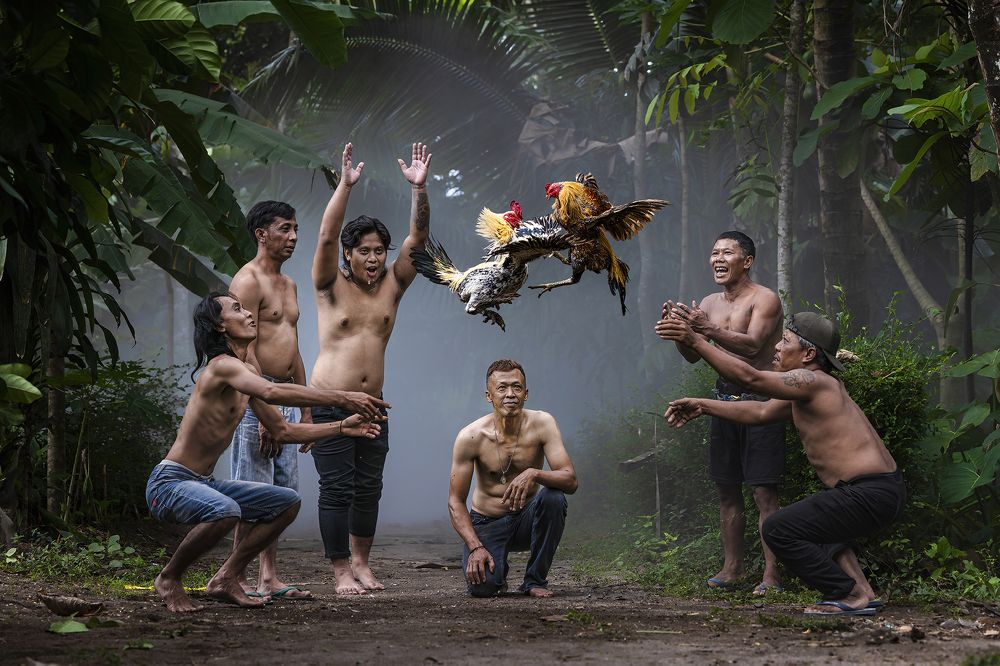 Photograph by PARTHA ROY